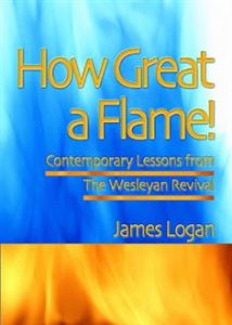 How Great a Flame cover