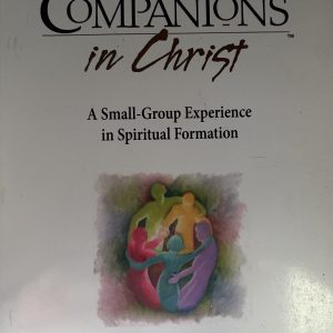 The Way of Transforming Discipleship Participant's Book
