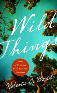 Wild Things cover