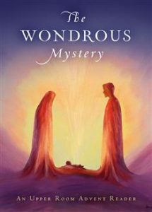 The Wondrous Mystery cover